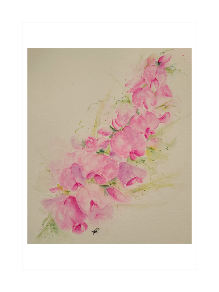 Watercolor Loose Sweet Pea Flowers Watercolors By Donnell Anderson