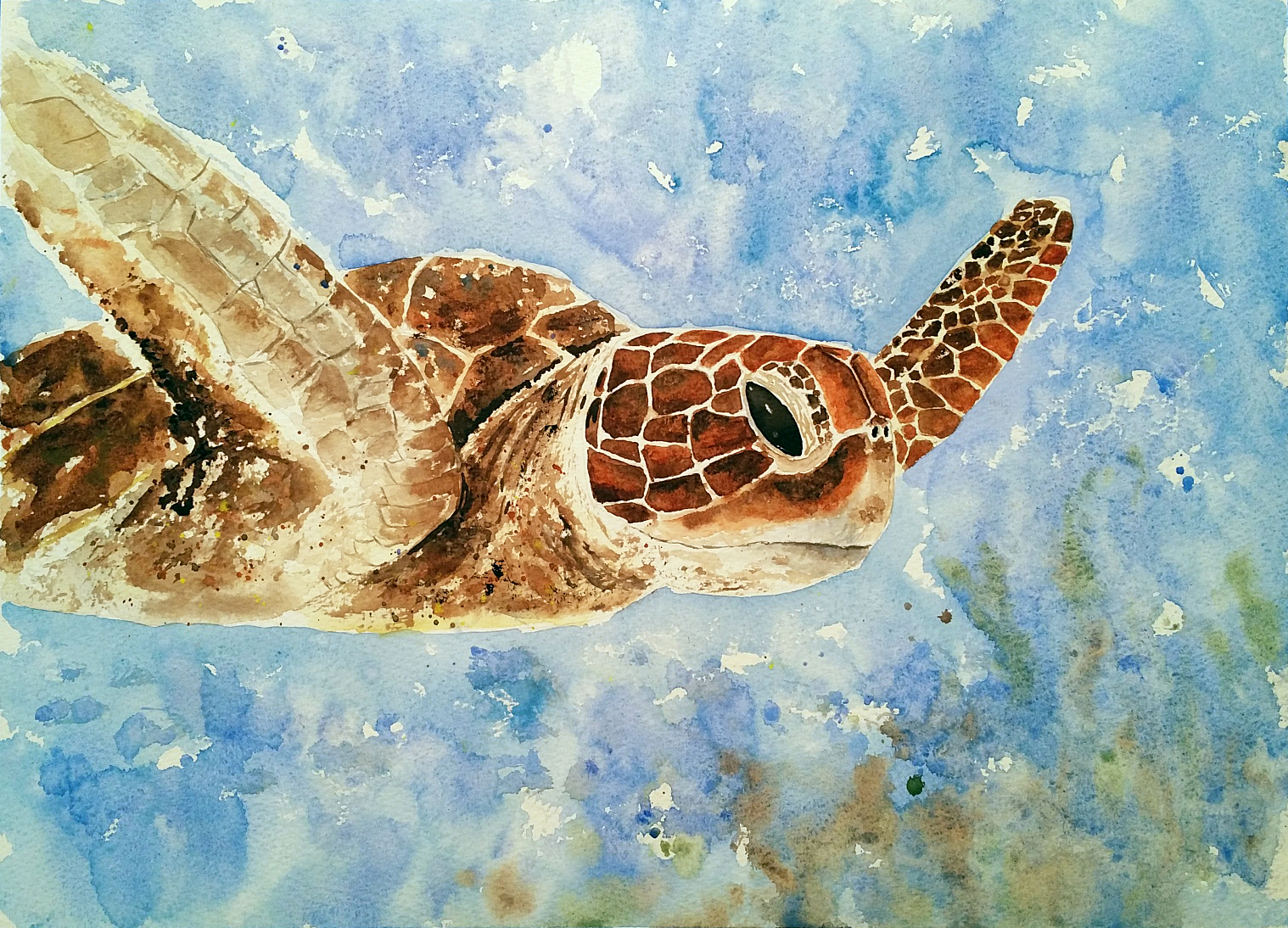 Watercolour Turtle - Watercolors by Donnell Anderson