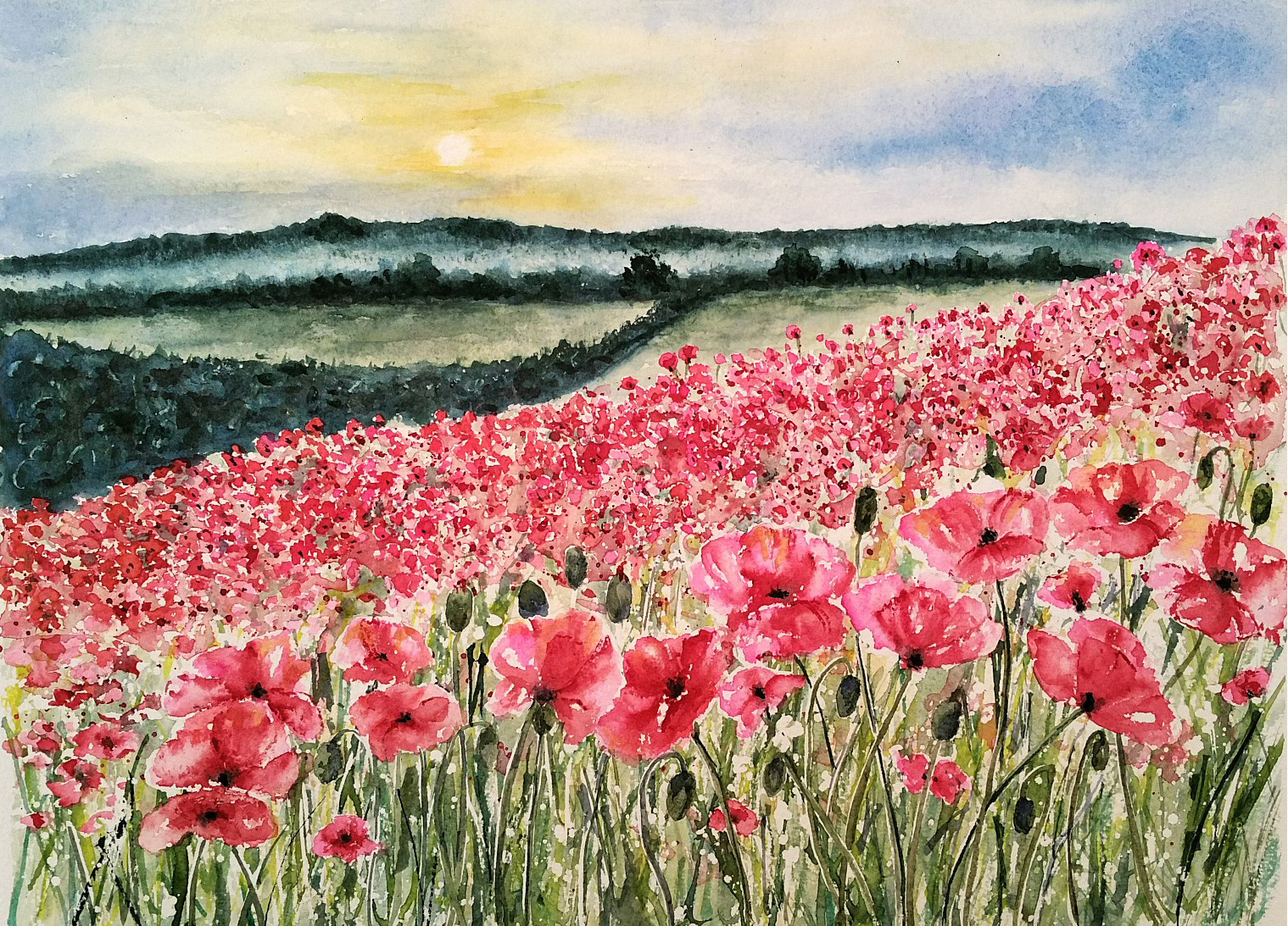 poppy-field-watercolors-by-donnell-anderson