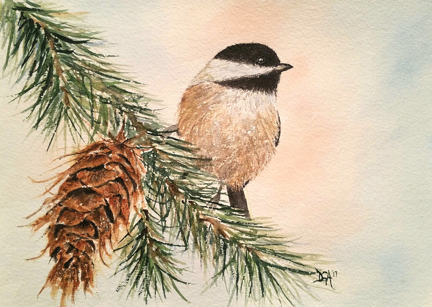 Watercolor Chickadee - Watercolors by Donnell Anderson