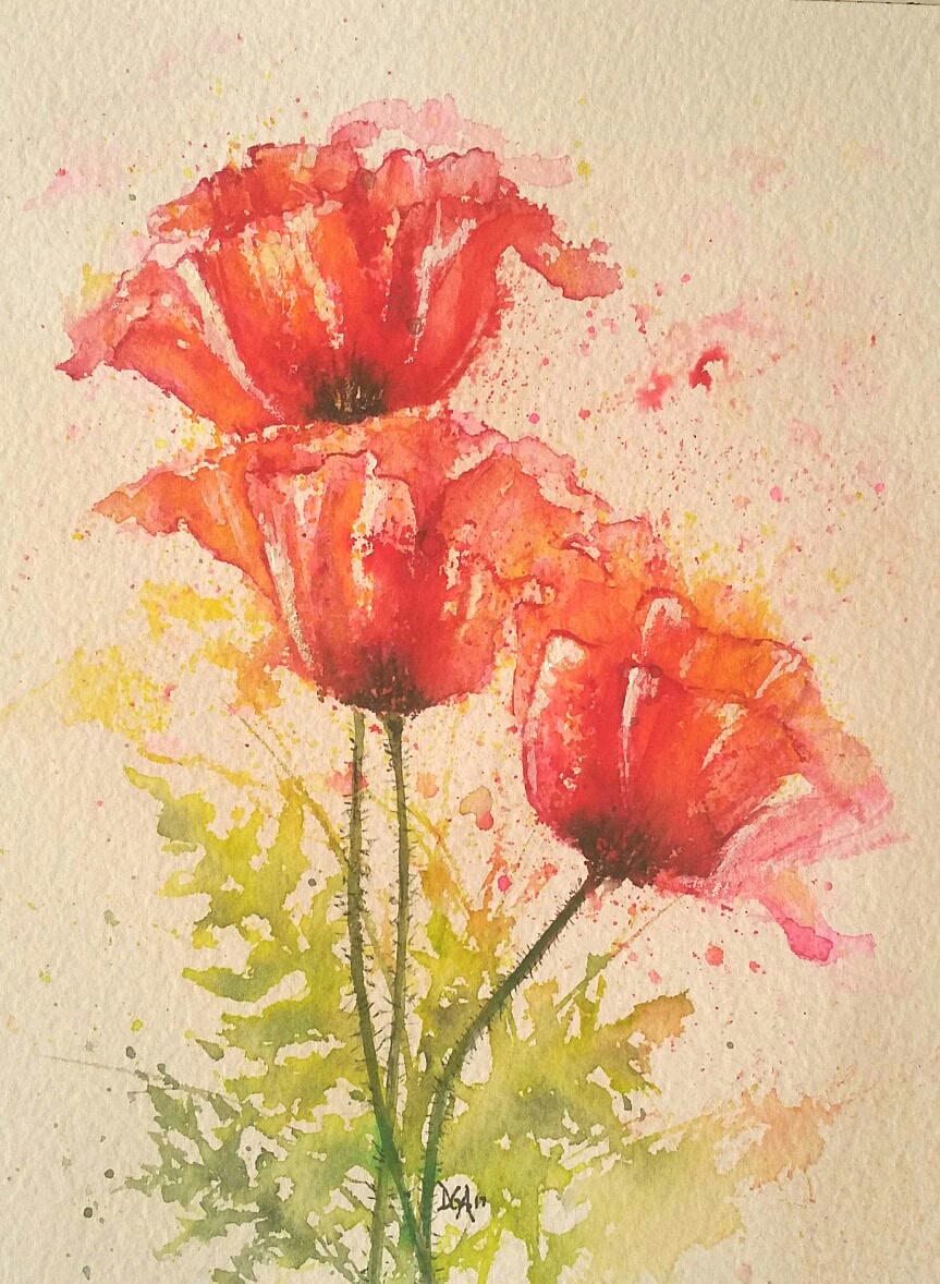 Watercolor Poppy Trio - Watercolors by Donnell Anderson